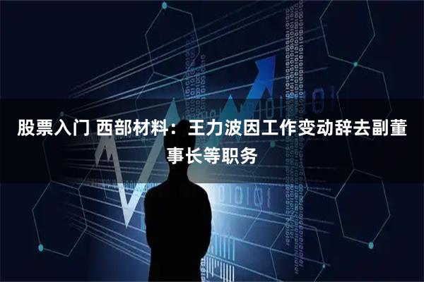 股票入门 西部材料：王力波因工作变动辞去副董事长等职务